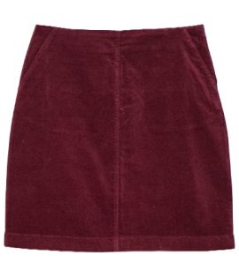 Velvet Mini Skirt